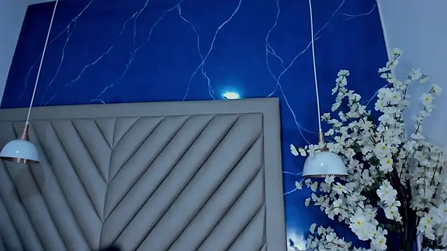 Ibbie_drastic webcam