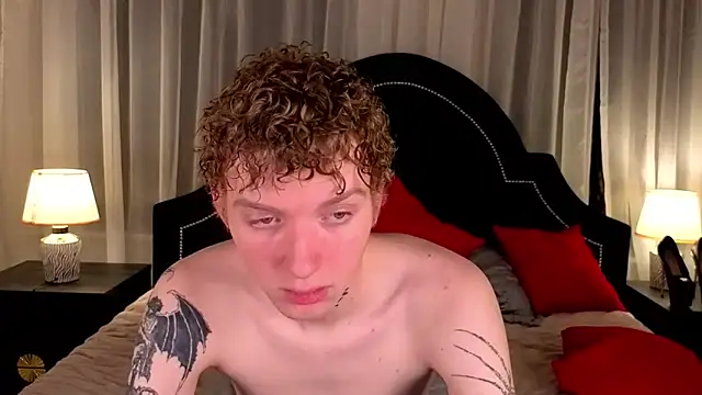 TRAVIS_CLAS webcam