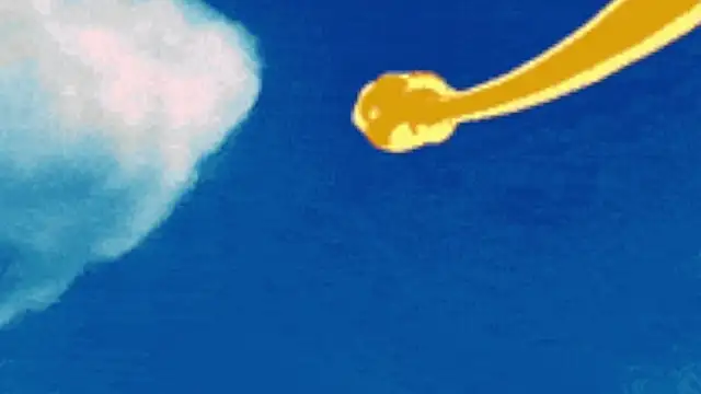 justin_stark7 webcam