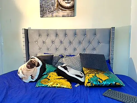 stewart_mateo_ webcam