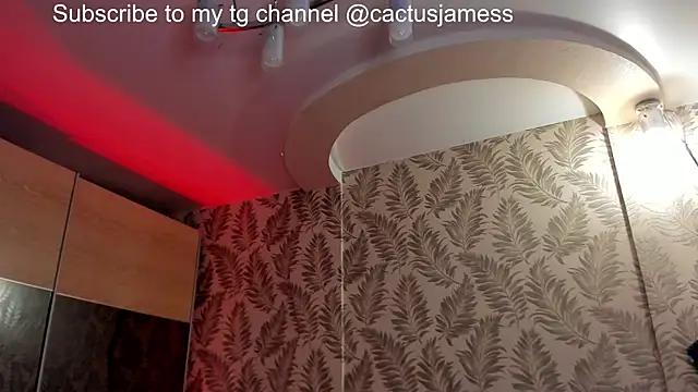 Cactus__James webcam
