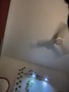 luxarumi - LuXarumi's free webcam