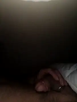 handsome8inchh webcam