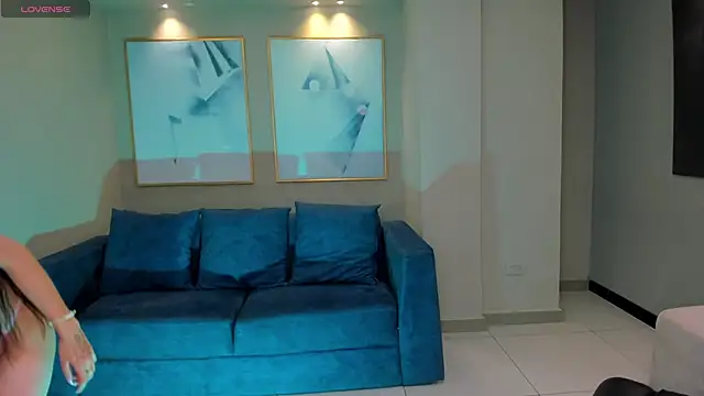 LaurentConnor webcam