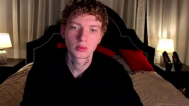 TRAVIS_CLAS webcam