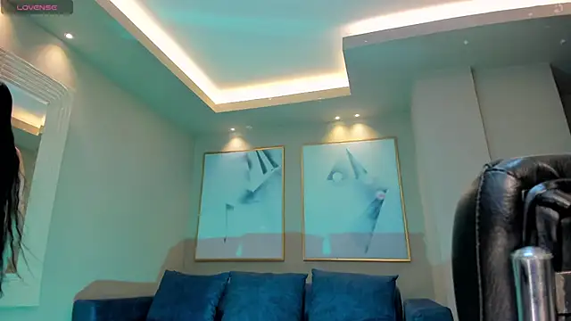 LaurentConnor webcam