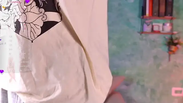 VicenteFerrer webcam