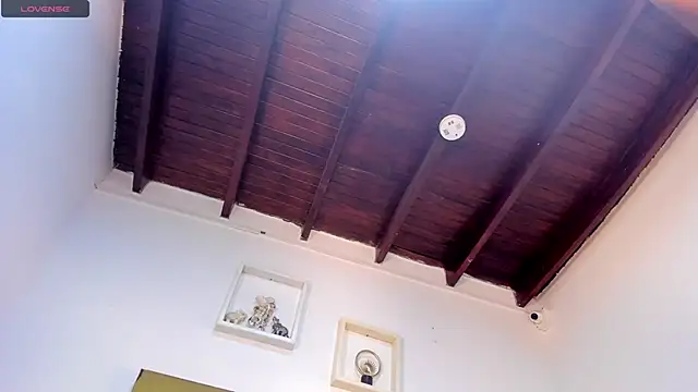 vahiolet_fuentes webcam