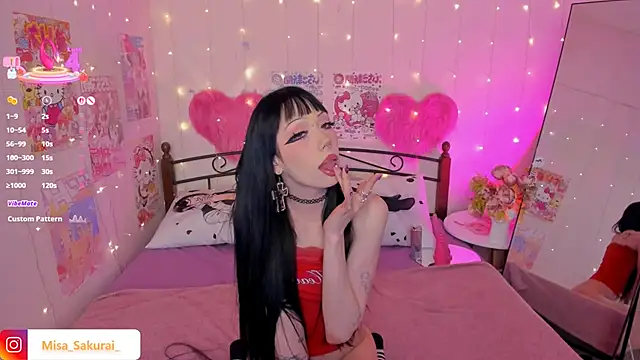 Misa_Sakurai webcam