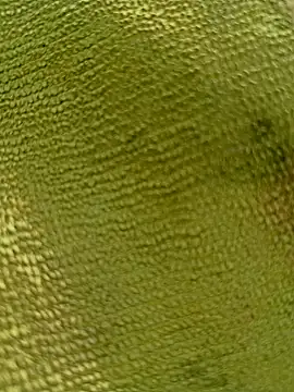 sadunt - Sadunt's free webcam