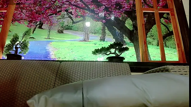 britanny_noroeste webcam