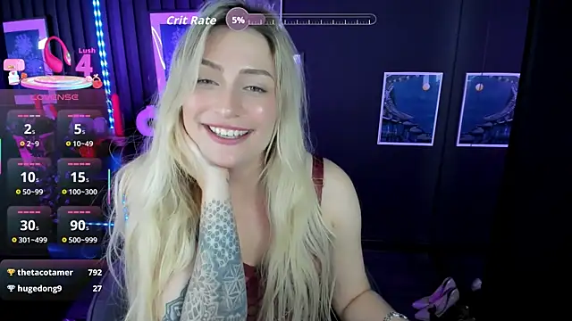 AugustineMagnetic webcam