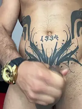 Maximiliano_ford webcam