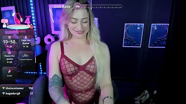 AugustineMagnetic webcam