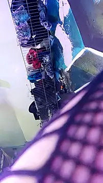 Dixie_delight webcam