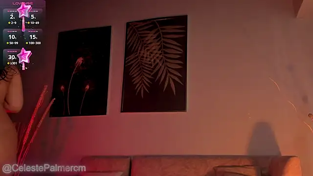 CelestePalmer_ webcam