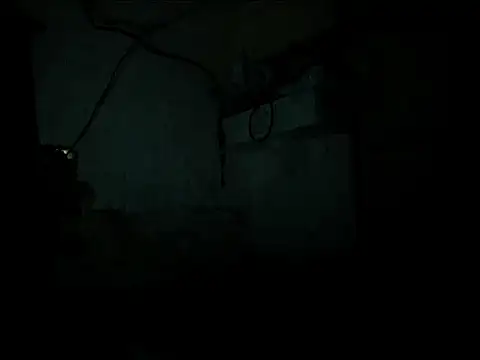 manilafoxts Live Webcam on Stripchat