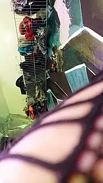 Preview of dixie_delight