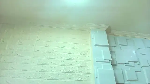 CharlotteSchmidtt webcam