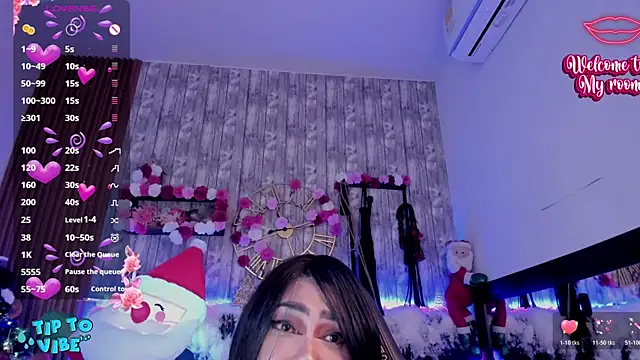 Neko_Misaki webcam