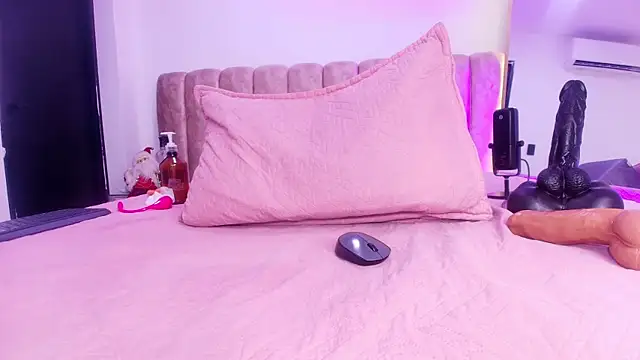 Auroraa_miller webcam