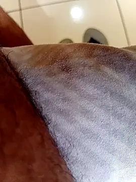 ElicitedMotive webcam