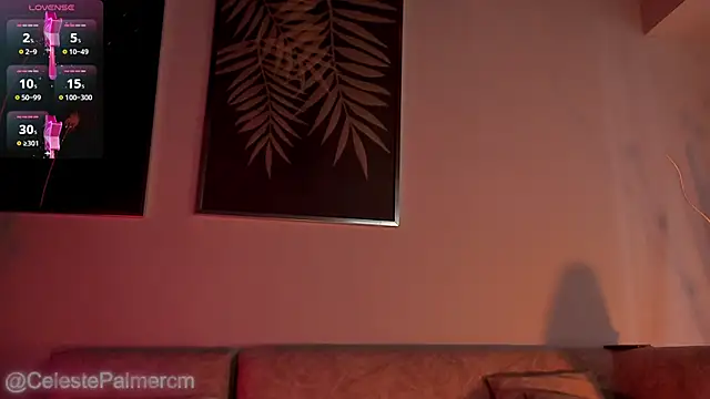 CelestePalmer_ webcam