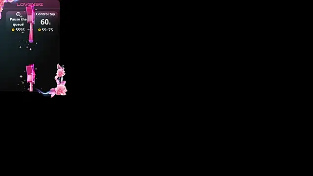 Romancartier_1 webcam