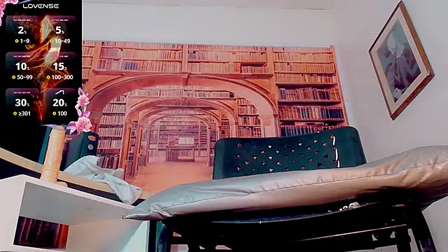 Brittany_colorado webcam