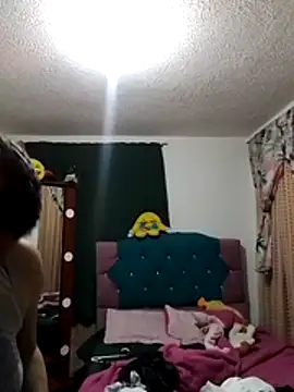 Adelgey-Michell webcam