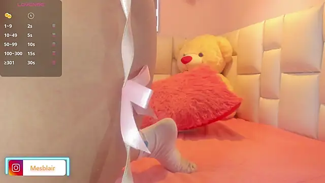 blair___mester webcam