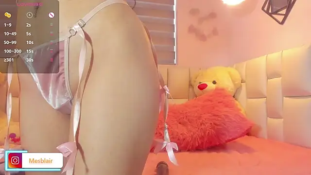 blair___mester webcam