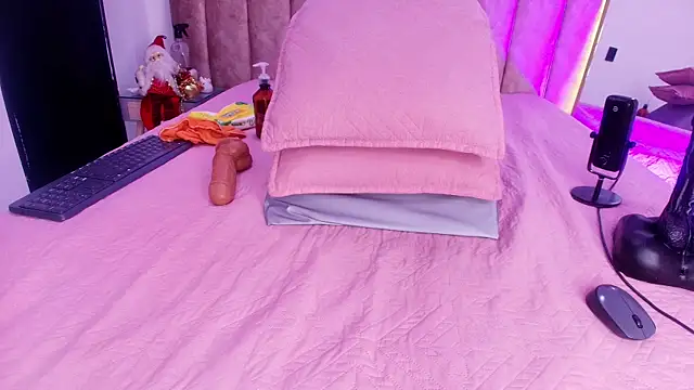 Auroraa_miller webcam