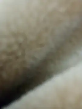 Hema0Hema live cam screenshot male on ReplayHer – Replays, Highlights & Live Cams