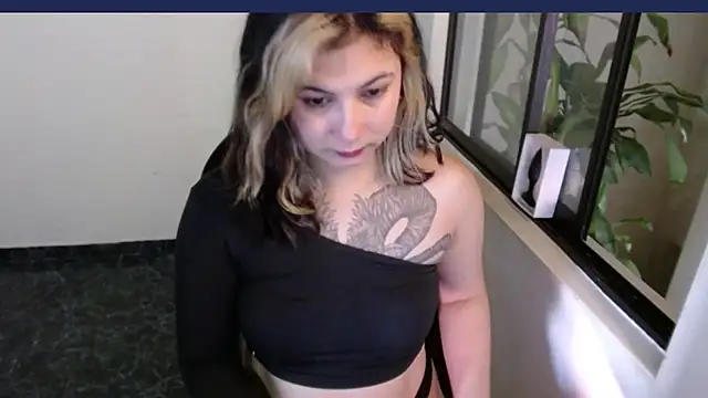 mailer_parsonss webcam