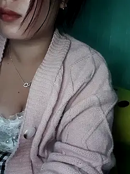 Linksys_nicee webcam