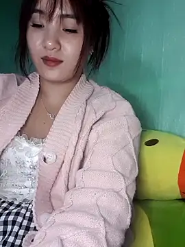 Linksys_nicee webcam