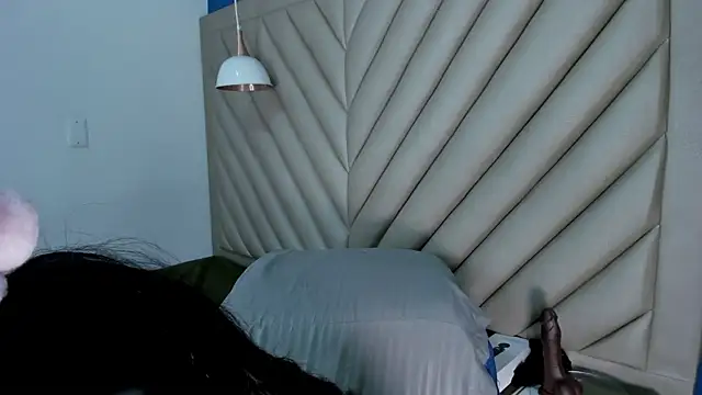 Ibbie_drastic webcam