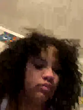 StylishEchium webcam