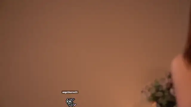 Hi_my_name_is webcam