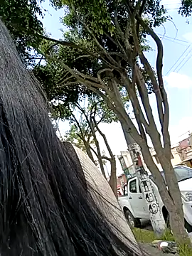 ScarlettParker webcam