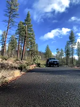 GoldenFlameGoddess webcam