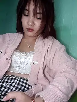 Linksys_nicee webcam