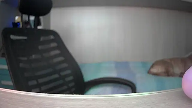 anonimus150600 webcam