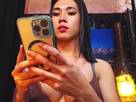 TRANSPORNIDOL webcam