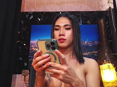 TRANSPORNIDOL webcam