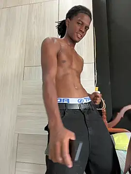 KingBlack25cm webcam