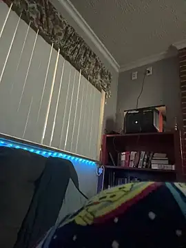 Integrityofsin webcam