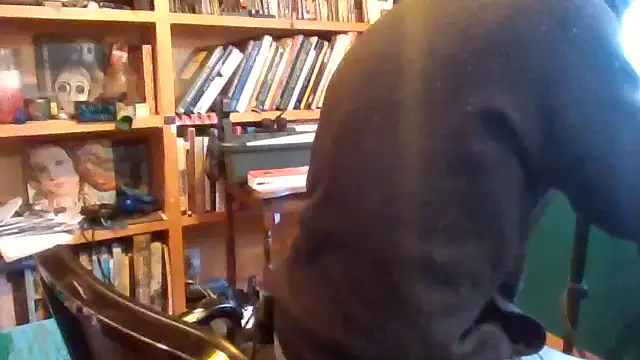 2099rivenxxx (Ask my age) - #american #bisexuals #brunettes #cam2cam #cock-rating #cum-play #daddies #dirty-talk #flexing #hd #humiliation #masturbation #middle-priced-privates #muscular #penis-ring #recordable-privates #recordable-publics #sexting #small-audience #white