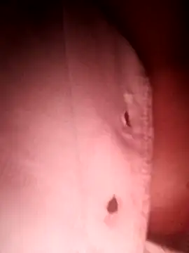 bruna_safadinhaa webcam